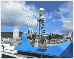  2025Ÿ��846 ��õ�� ������         ���ڰ��