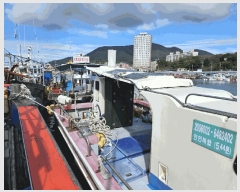  2025Ÿ��846 ��õ�� ������         ���ڰ��