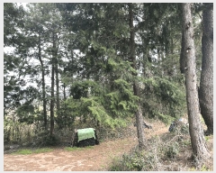  2025Ÿ��30696 �泲 ���ر� â���� ���븮 ��186      ����(�Ӿ�)���