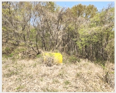  2025Ÿ��30714 �泲 �ϵ��� ������ ���� 560-3      ����(�������)���