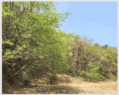  2025Ÿ��30714 �泲 �ϵ��� ������ ���� 560-3      ����(�������)���