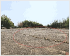  2025Ÿ��30714 �泲 �ϵ��� ������ ���� 560-3      ����(�������)���