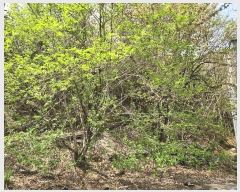  2025Ÿ��30714 �泲 �ϵ��� ������ ���� 560-3      ����(�������)���