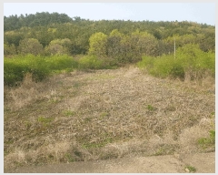  2025Ÿ��30725 �泲 ���ر� â���� ������ 88      ����(��)���