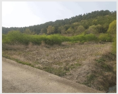  2025Ÿ��30725 �泲 ���ر� â���� ������ 88      ����(��)���