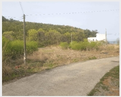  2025Ÿ��30725 �泲 ���ر� â���� ������ 88      ����(��)���