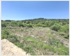  2025Ÿ��30725 �泲 ���ر� â���� ������ 88      ����(��)���