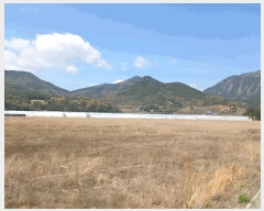  2025Ÿ��30731  ����