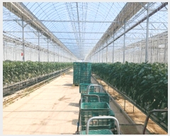  2025Ÿ��30731  ����