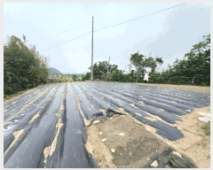  2025Ÿ��30821  �������