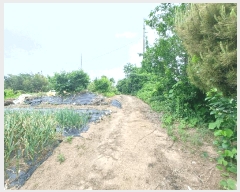  2025Ÿ��30821 �泲 ���ֽ� �žȵ� 883-4 ����� 2��206ȣ     ���ǽ��ڰ��