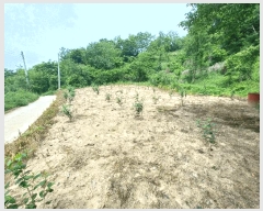  2025Ÿ��30821 �泲 ���ֽ� �žȵ� 883-4 ����� 2��206ȣ     ���ǽ��ڰ��