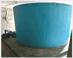  2025Ÿ��30838  ���ڽü����