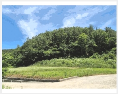  2025Ÿ��30884 �泲 ���ֽ� ��õ�� ȿ�ڸ� 20-1      ����(��)���