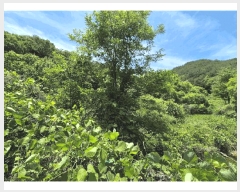  2025Ÿ��30884 �泲 ���ֽ� ��õ�� ȿ�ڸ� 20-1      ����(��)���