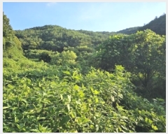  2025Ÿ��30884 �泲 ���ֽ� ��õ�� ȿ�ڸ� 20-1      ����(��)���