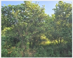  2025Ÿ��30884 �泲 ���ֽ� ��õ�� ȿ�ڸ� 20-1      ����(��)���