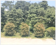  2025Ÿ��30893  �ٸ����ð��