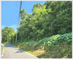  2025Ÿ��30902 �泲 ��õ�� �ൿ�� ���긮 246-1      ���ð��