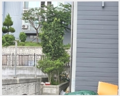  2025Ÿ��30912 �泲 ���ֽ� �ݻ�� ��縮 2158-11      �ܵ�����,�����ð��