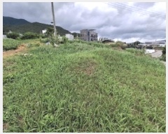  2025Ÿ��30929  �Ӿ߰��