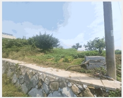  2025Ÿ��30929 �泲 ���ر� ������ �̾ 540-2      ����(����)���