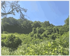  2025Ÿ��30933  �Ӿ߰��