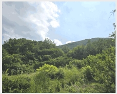  2025Ÿ��30933  �Ӿ߰��