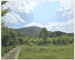  2025Ÿ��30933  �Ӿ߰��