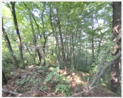  2025Ÿ��30933  �Ӿ߰��