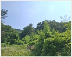  2025Ÿ��30933  �Ӿ߰��