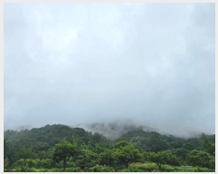  2025Ÿ��30933  �Ӿ߰��