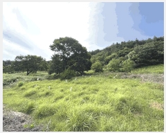  2025Ÿ��30945 �泲 �ϵ��� ������ ��õ�� ��119-7      ����(�Ӿ�)���