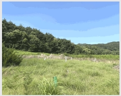  2025Ÿ��30945 �泲 �ϵ��� ������ ��õ�� ��119-7      ����(�Ӿ�)���