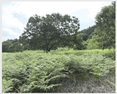  2025Ÿ��30945 �泲 �ϵ��� ������ ��õ�� ��119-7      ����(�Ӿ�)���