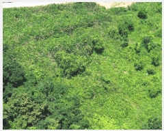  2025Ÿ��30956 �泲 ���ر� ���� ȫ���� 223-2      ����(��1)���