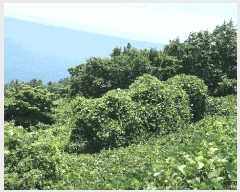  2025Ÿ��30956 �泲 ���ر� ���� ȫ���� 223-2      ����(��1)���