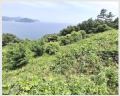  2025Ÿ��30956 �泲 ���ر� ���� ȫ���� 223-2      ����(��1)���