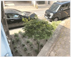  2025Ÿ��30959  �����