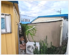  2025Ÿ��30973  ���ð��