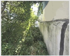  2025Ÿ��30976  ���ð��