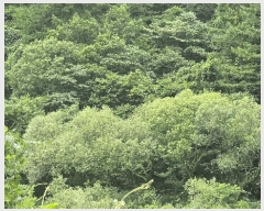  2025Ÿ��30978  ����