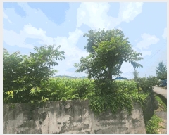  2025Ÿ��30986 �泲 ��õ�� ������ ��û�� 65-1      ����(����)���