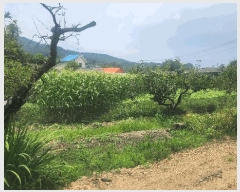  2025Ÿ��30986 �泲 ��õ�� ������ ��û�� 65-1      ����(����)���