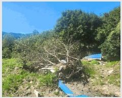  2025Ÿ��31144  ����