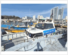  2025Ÿ��31263 ��õ�� ��õ����(������)         ���ڰ��