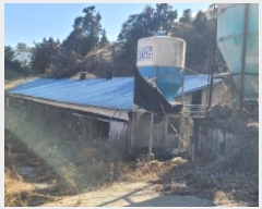  2025Ÿ��237  ���(�󰡽ü�)���