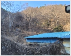  2025Ÿ��237  ���(�󰡽ü�)���