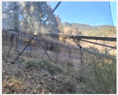  2025Ÿ��237  ���(�󰡽ü�)���