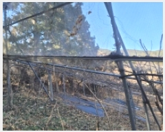  2025Ÿ��237  ���(�󰡽ü�)���